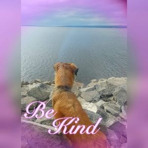 Meet your Posher, Tara